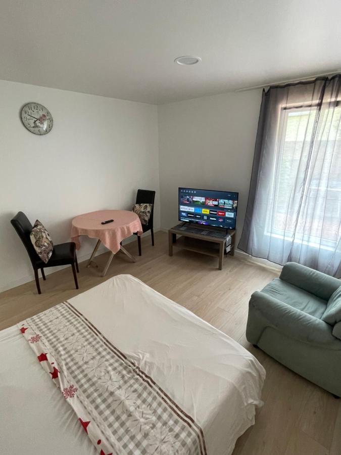 Grand Studio Pour 1 Ou 2 Personnes Schiltigheim Buitenkant foto